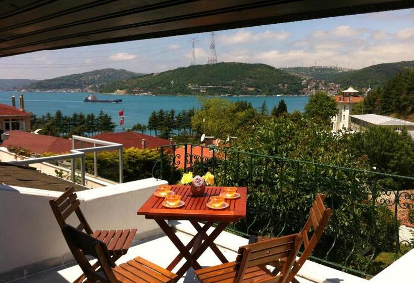 Fotos del hotel Bosphorus Konak:  1