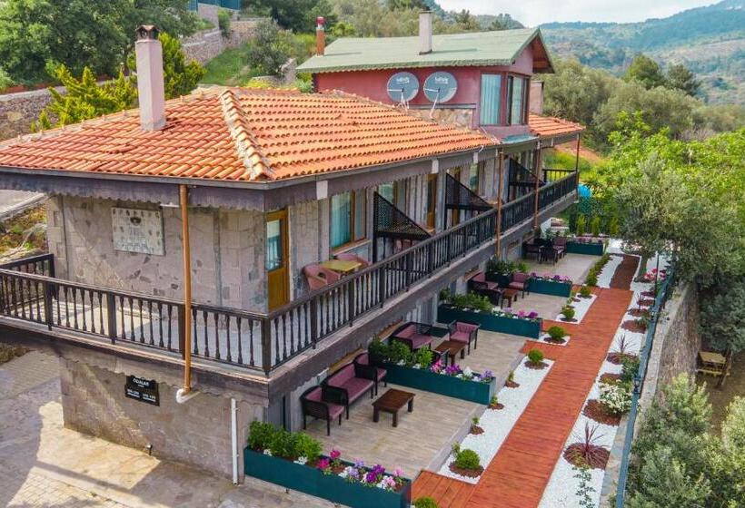 بنسيون Assos Kartal Yuvasi