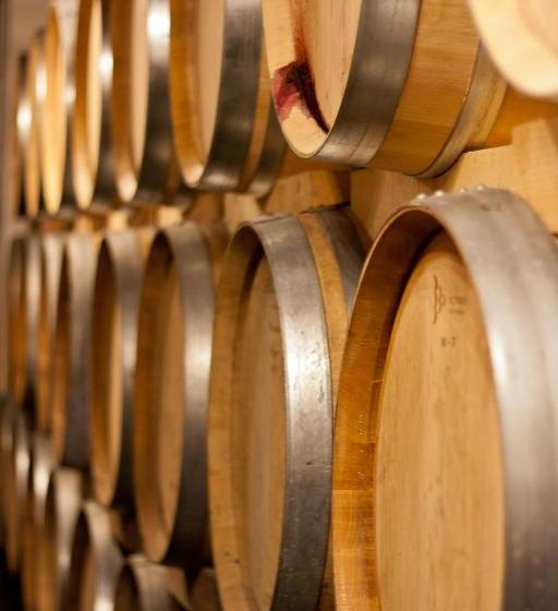پانسیون Weingut Franz Schindler