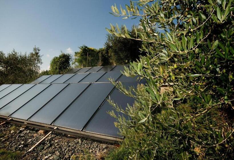 ホテル Tenuta Decimo Villa Dini