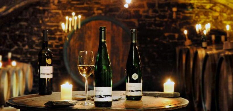 펜션 Weingut Clemens