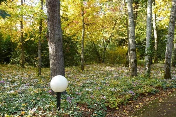 住宿加早餐  Le Buisson