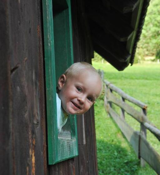 Отель Hocheggerhof   Urlaub Am Bauernhof