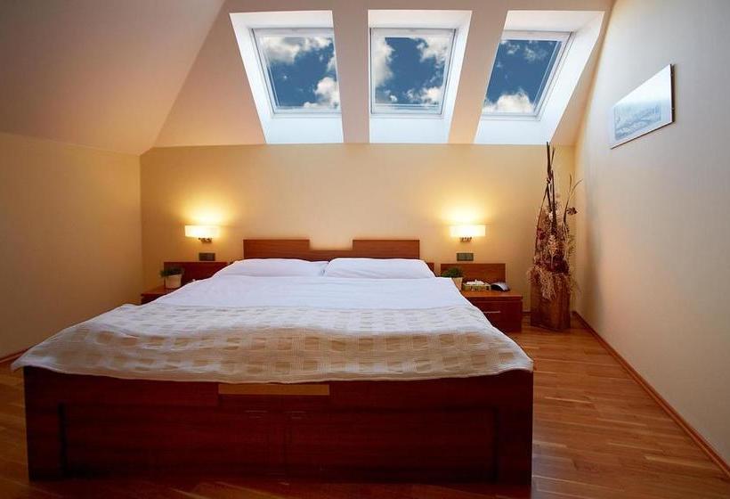 پانسیون Penzion Na Hradě