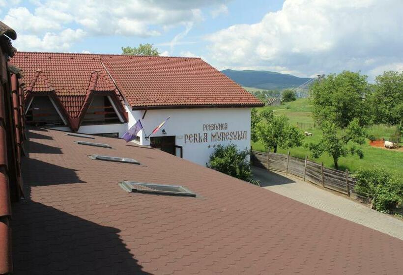 پانسیون Perla Muresului