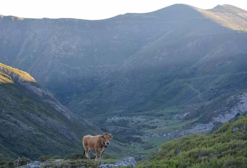 膳宿费 Núcleo De Turismo Rural La Corte