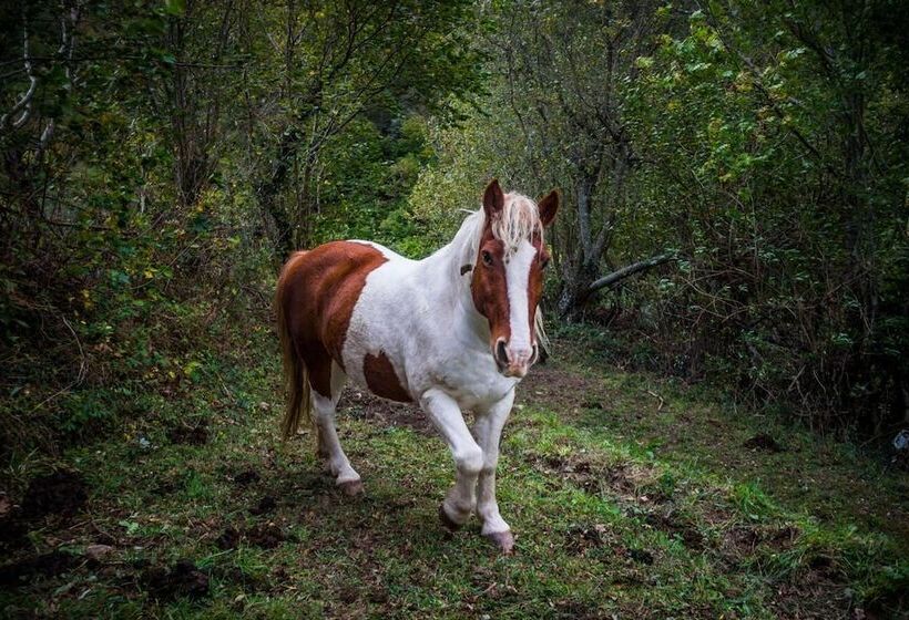 膳宿费 Núcleo De Turismo Rural La Corte