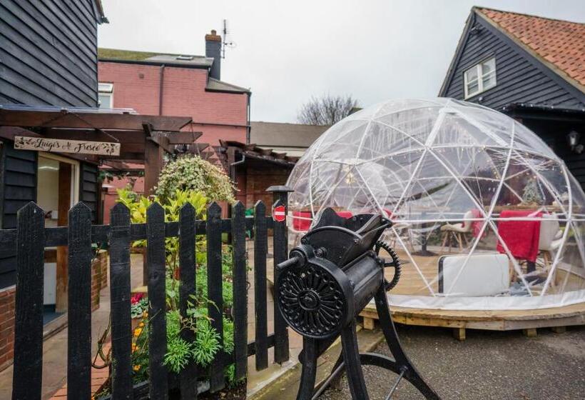 بنسيون The Limes