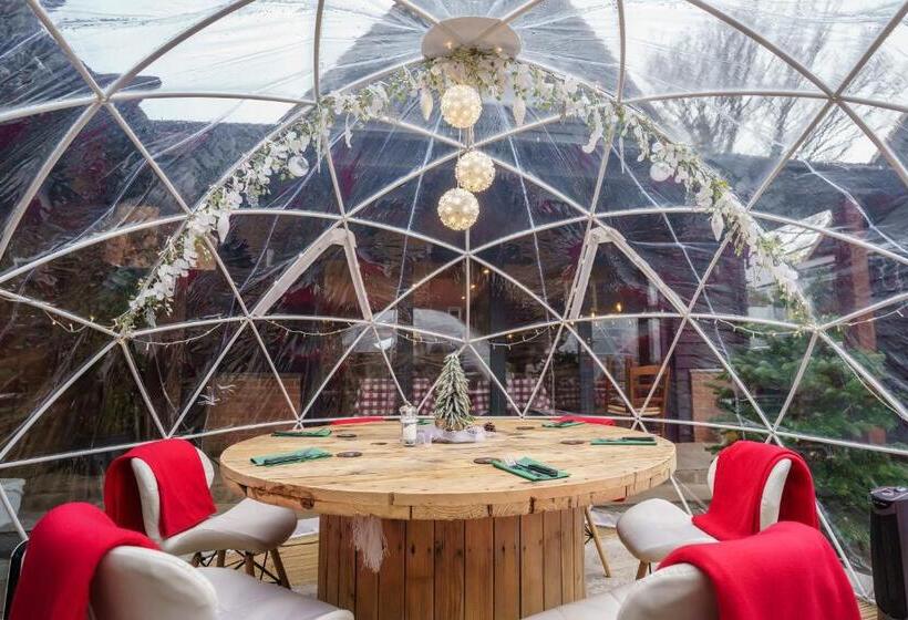 بنسيون The Limes