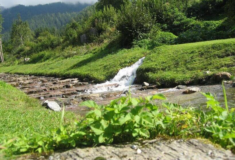 Restaurant   Café   Pension Hassler