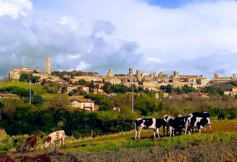 호텔 Agriturismo Il Poderino