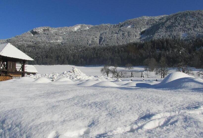 پانسیون Gästehaus Holzfeind