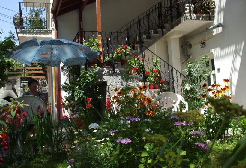 پانسیون Vila Ana Maria
