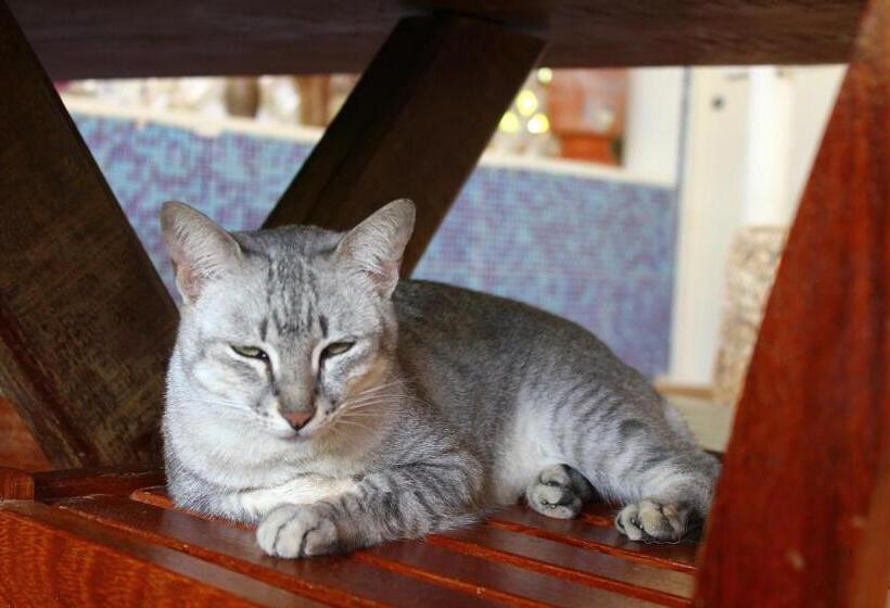 هاستل Espaço Nova Era Pousada