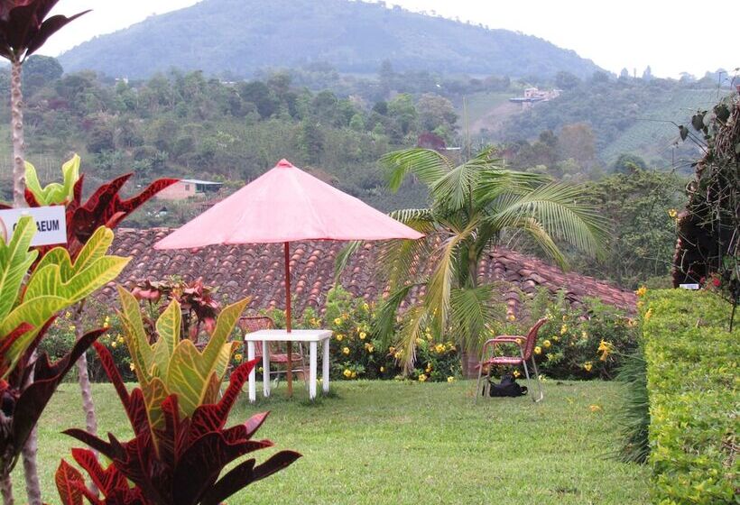 هتل Alto De Los Andaquies