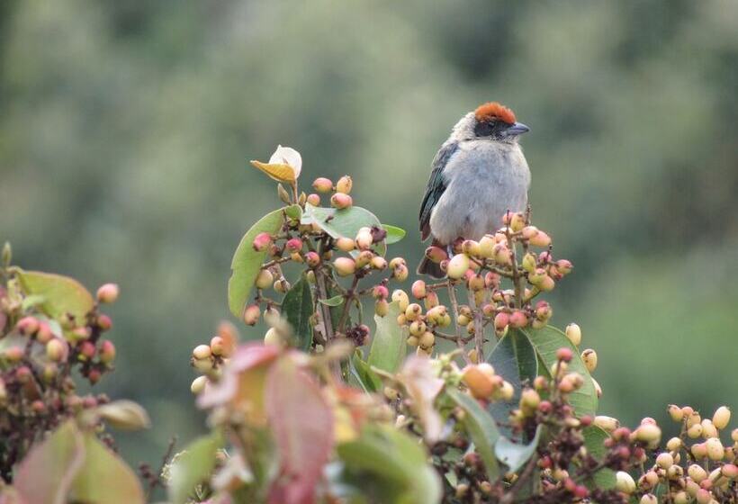 هتل Alto De Los Andaquies