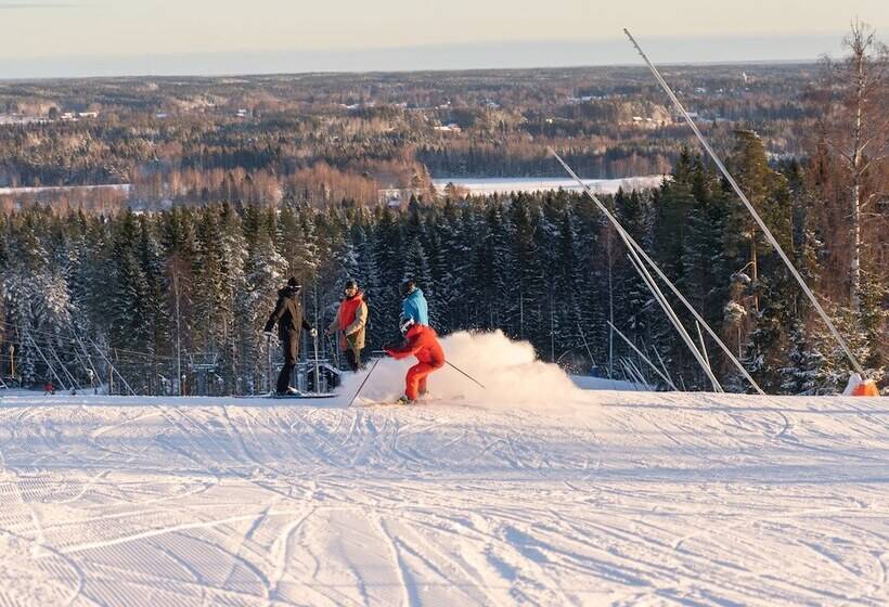 بنسيون Högbo Hotell Skommarsgården