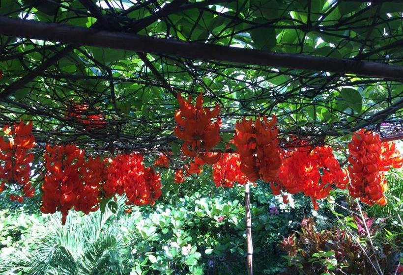 پانسیون Villa Ma Rasai