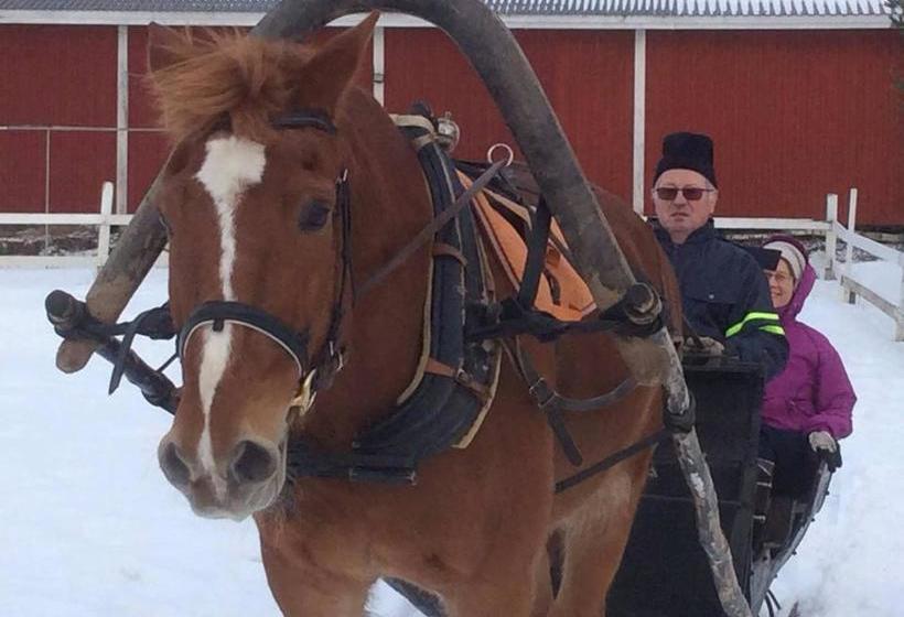 ホテル Ilola Maatilamatkailu