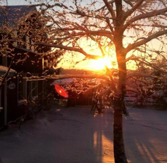 ホテル Ilola Maatilamatkailu