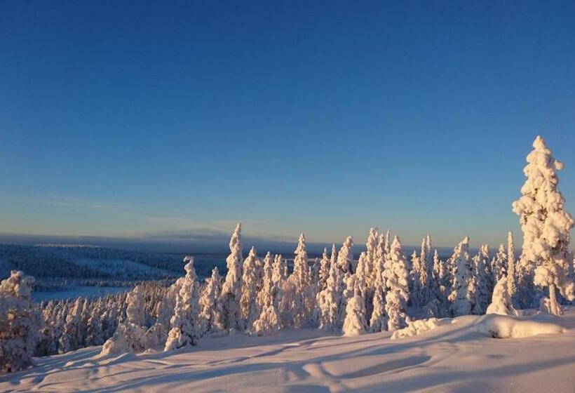 פנסיון Guesthouse Golden Goose