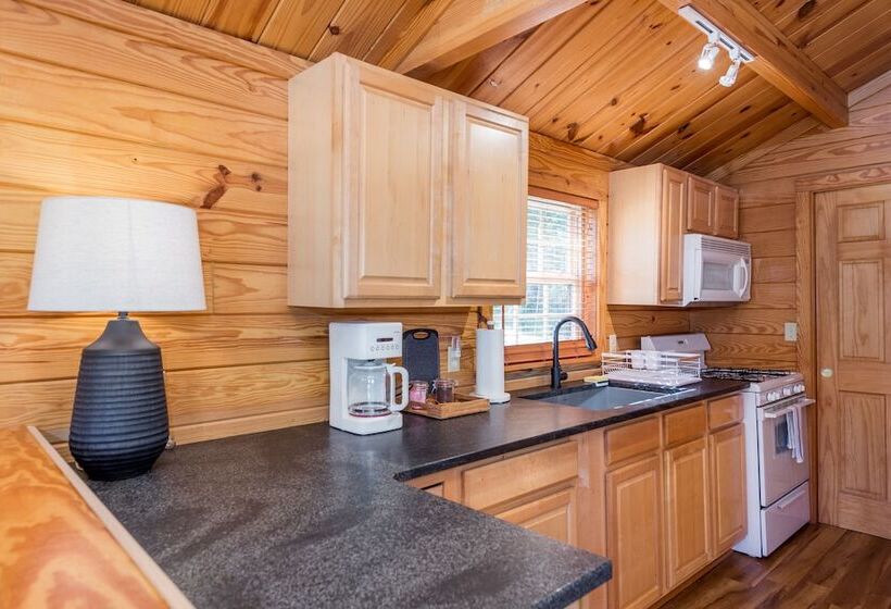 پانسیون Asheville River Cabins