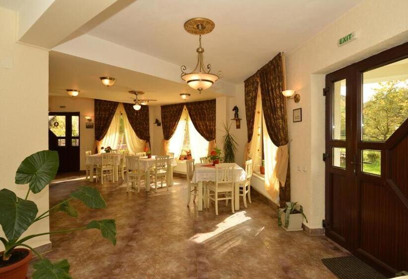 פנסיון Bucuria Muntelui