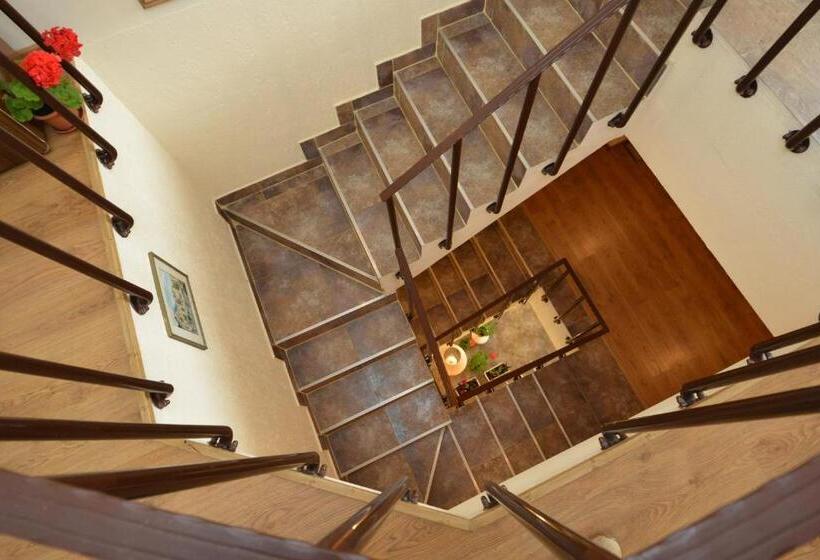 פנסיון Bucuria Muntelui