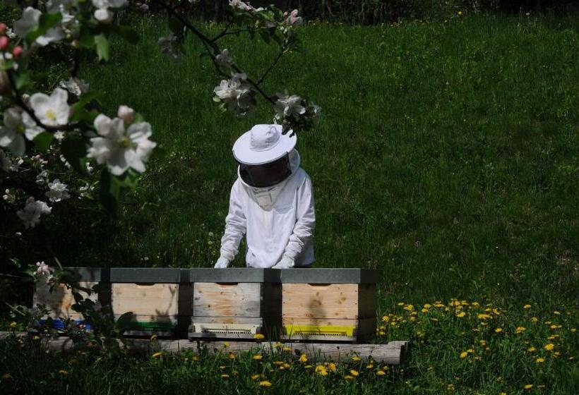 پانسیون Gästehaus Brugger