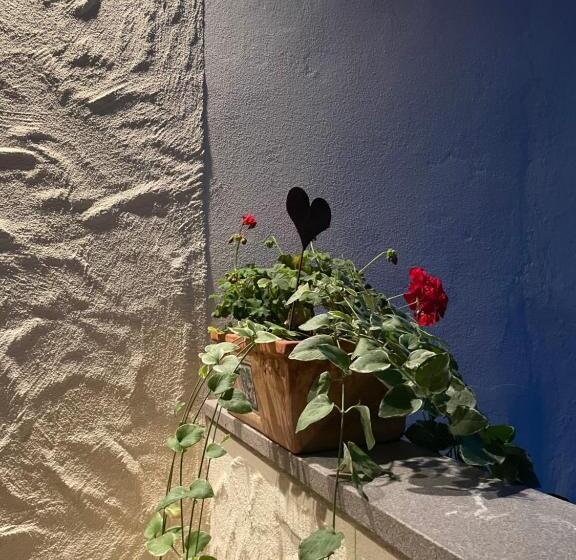 پانسیون Gästehaus Brugger