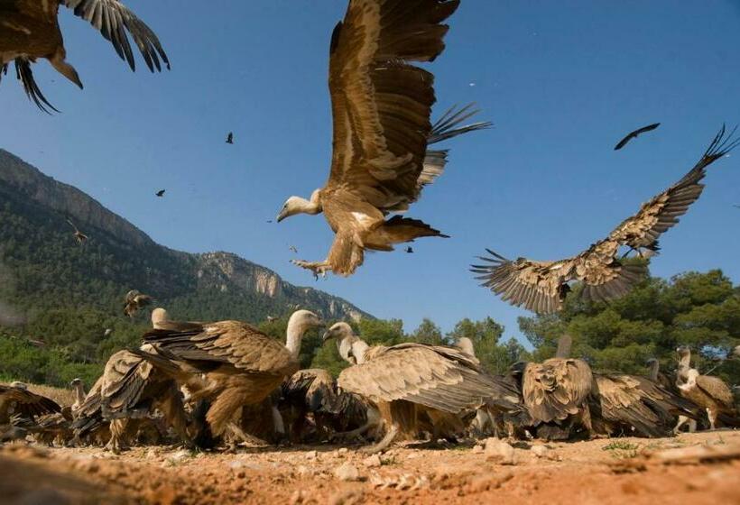 פנסיון Observatorio De Aves Mas De Bunyol