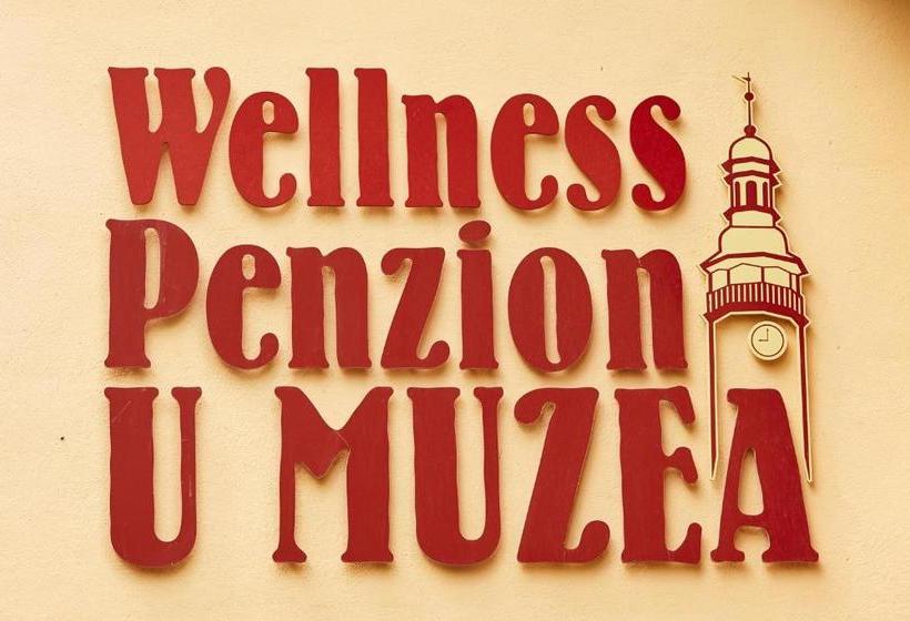 پانسیون Wellness Penzion U Muzea
