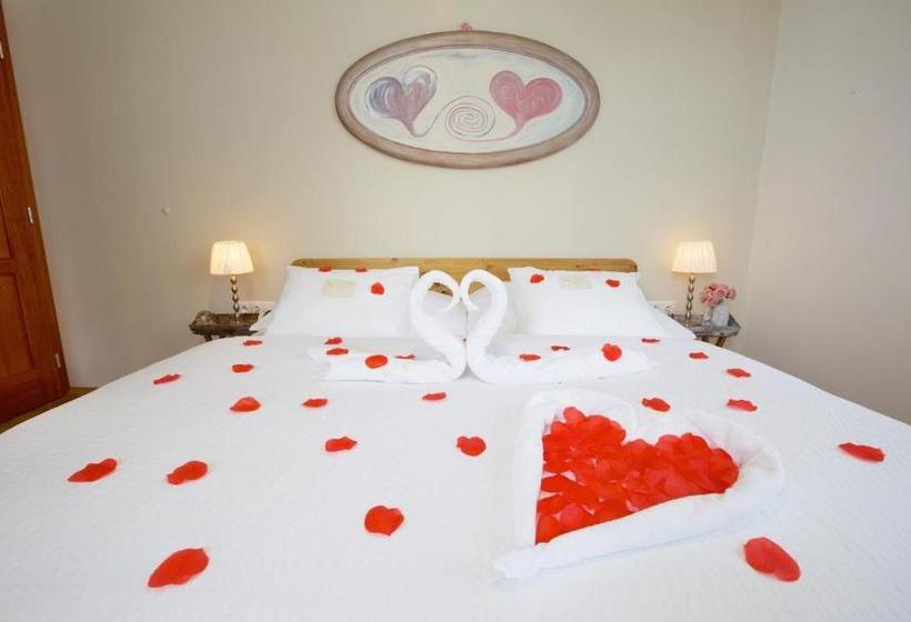 پانسیون Wellness Penzion U Muzea