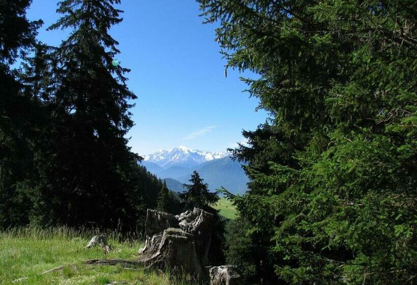 Appartement Sunnleitn