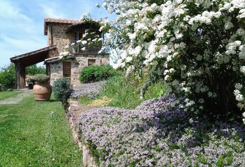 호텔 Agriturismo Casa Fibbianello