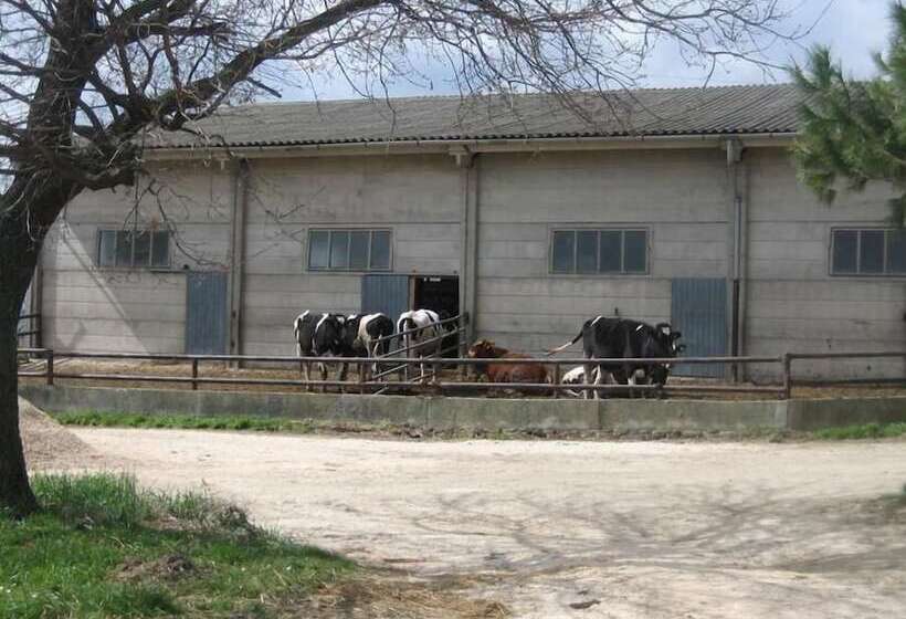 호텔 Agriturismo Casa Fibbianello