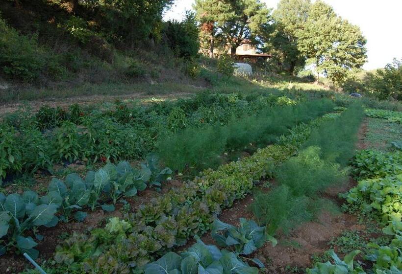 호텔 Bio Agriturismo Aia Del Tufo
