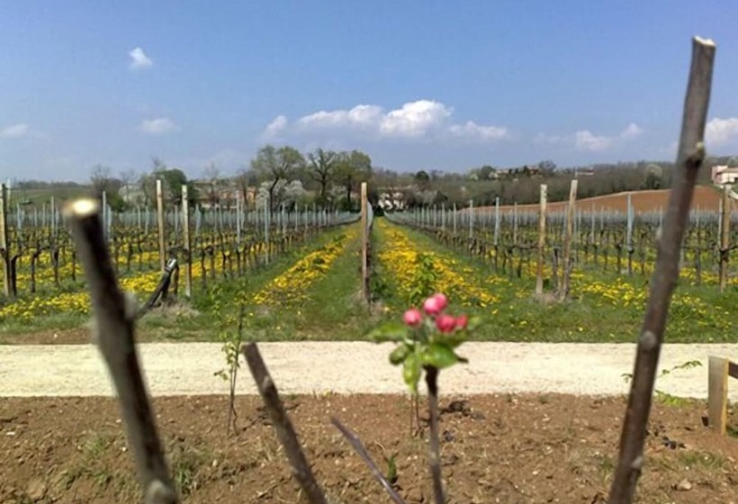 فندق Caspineda Agriturismo