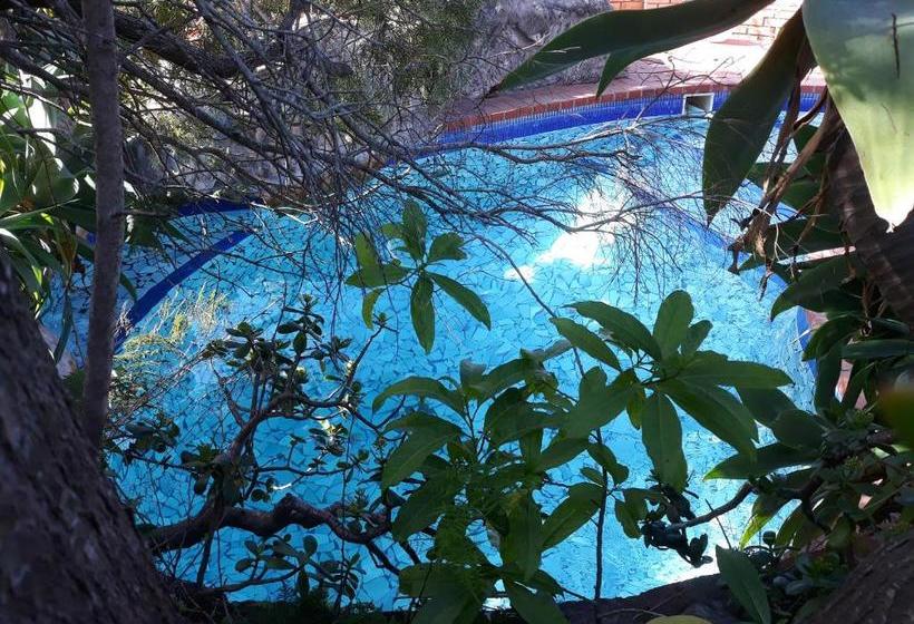 پانسیون Albert Road Garden Guest House