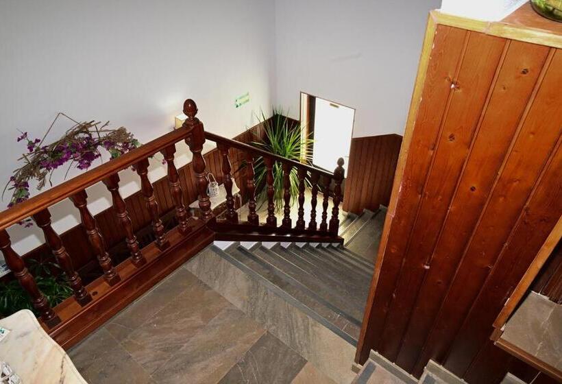 펜션 Hostal Los Rosales