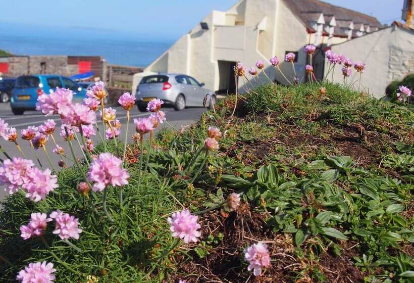فندق صغير Hartland Quay