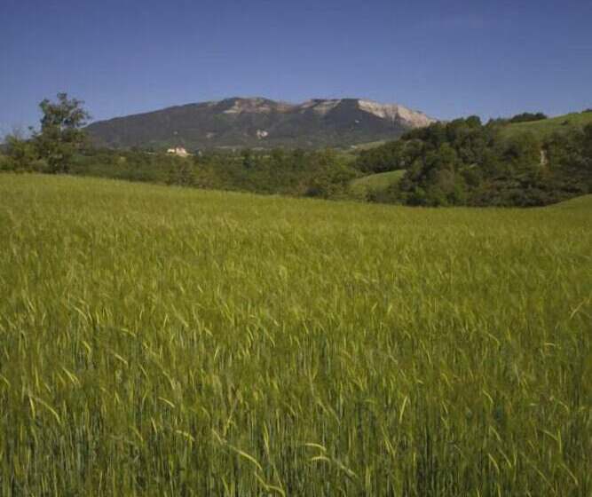 Отель Agriturismo La Spiga D Oro