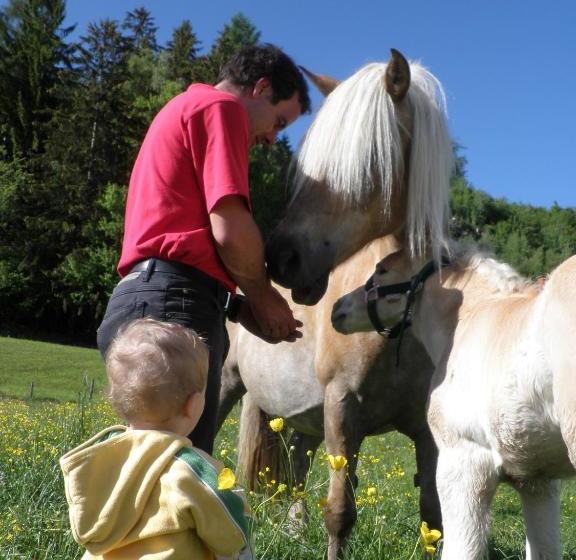 酒店 Ferienhaus Zur Alten Schmiede