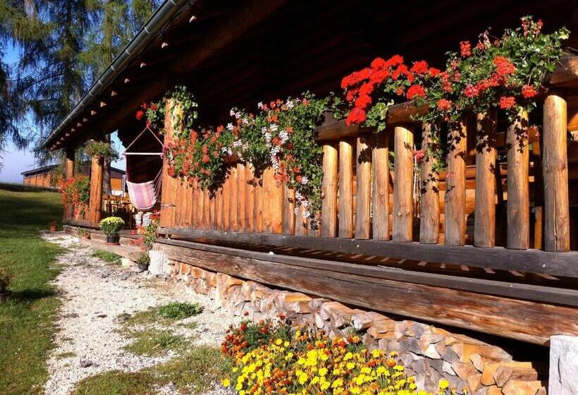پانسیون Penzion Ranc U Trapera