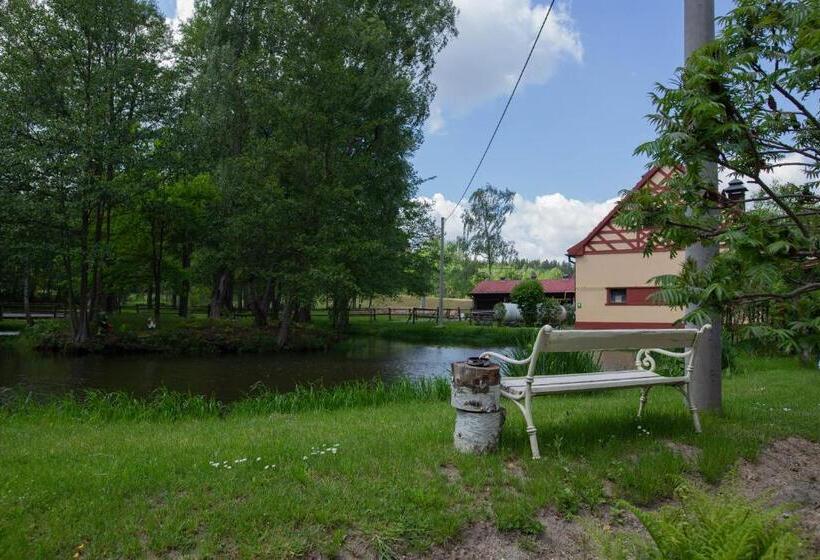 پانسیون Penzion štekrův Mlýn