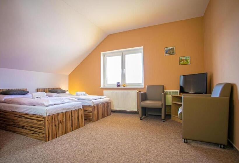 پانسیون Penzion Vion