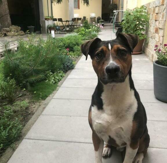 住宿加早餐  Margaréta Garden & Spa