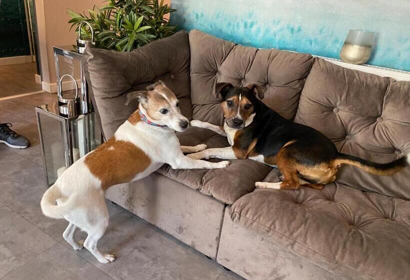 住宿加早餐  Margaréta Garden & Spa