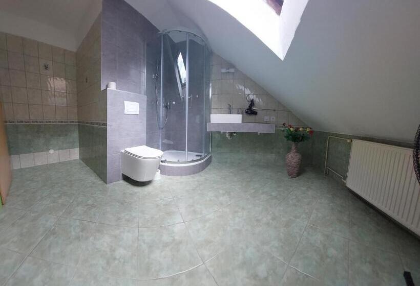 پانسیون Penzion U šelongů