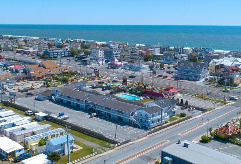 فندق صغير Atlantic Coast Inn